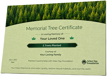 Plant Trees in Memory of Karen Webb